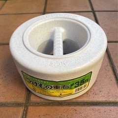 リスの漬物石 #35