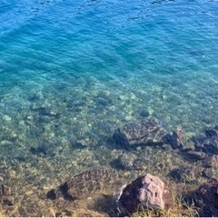 引っ越してきたばかりなので - 友達
