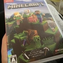 「Minecraft Nintendo Switch版」