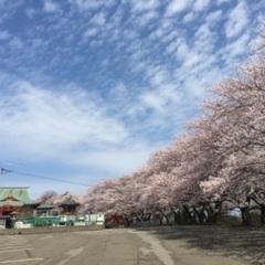 古民家利用 - 坂井市
