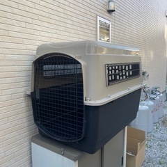 大型犬用、