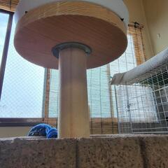 ファルコンブロックの画像