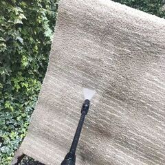 IKEA カーペット 230cm x 160cm 自宅圧力洗浄済の画像