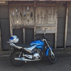ツーリング仲間募集