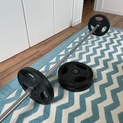 決まりました　バーベル　5kg×4枚セット
