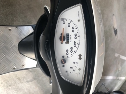 人気 ライブディオZX 車体