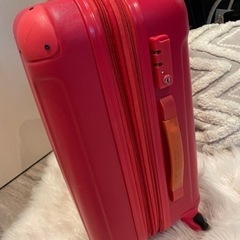 機内持ち込み可スーツケース（ハード）の画像