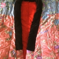 かい巻きの画像