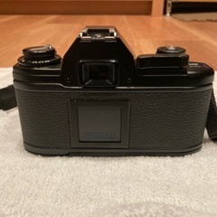Nikon EM ストロボPE-250S