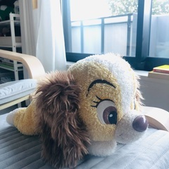 ぬいぐるみ　(とてもきれいな状態)の画像