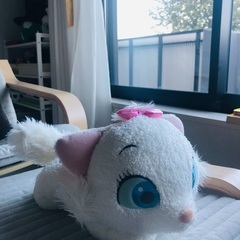 ぬいぐるみ　(とてもきれいな状態)の画像