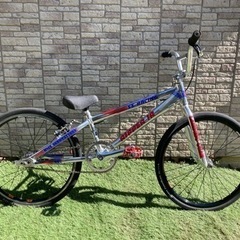 BMX SE BIKES RIPPER jr.