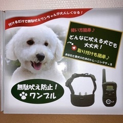 無駄吠え防止　“ワンブル”