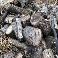 キャンプ、暖炉などに　薪