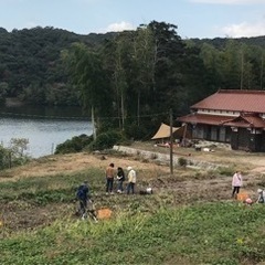 サツマイモ掘り体験の画像