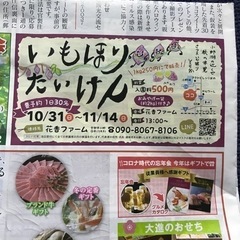サツマイモ掘り体験
