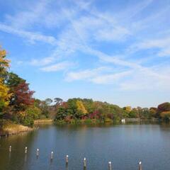 秋の洗足池🍁散歩しませんか？