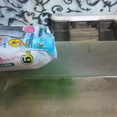 水槽 洗ってなくそのまま放置のためタダの画像