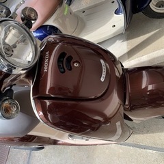 ホンダ　ジョルノ　　の画像