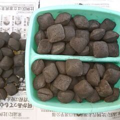 豆炭の画像