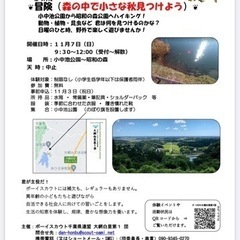 冒険ハイキング　ボーイスカウト　募集イベント