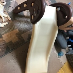 譲り先見つかりました！無料！すべり台