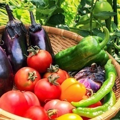 野菜ダイエットしたいので