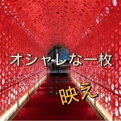 🗾休日楽しみを増やそう企画🔥社会人ビギナーズカメラ会📷🔰✨✨