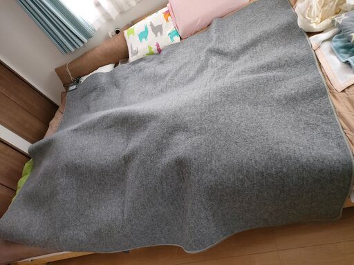 ホットカーペット　IHC-30-H アイリスオーヤマ　2016年製