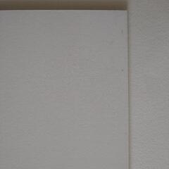 高級麻紙ボールド（ドーサ引き）の画像