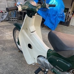 HONDA スーパーカブ50 国産カブ走行17500kmAA01 機関絶好調　原付　の画像