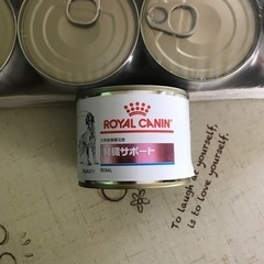 ロイヤルカナン犬の腎臓食です。