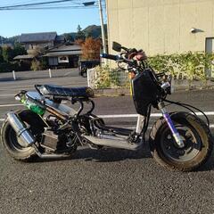 【最終値下げ】ホンダ ズーマー HONDA ZOOMER 50