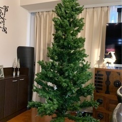 クリスマスツリー 約230cm●見映え抜群の大きさ●