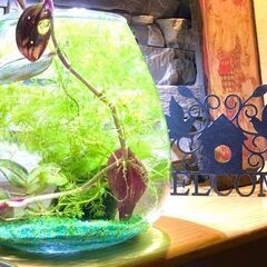 セラピスト募集中　楽しく☆伸び伸びタイマッサージスタッフ募集中です♪の画像