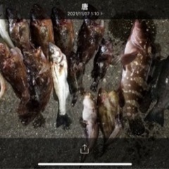 のんびり釣り仲間達募集