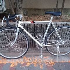 🚴ブリヂストン レイダックの画像