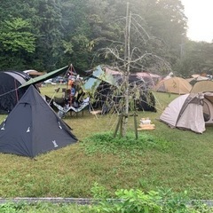 急遽キャンプ仲間募集