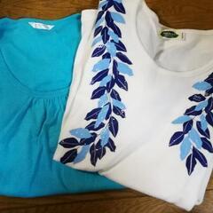 Tシャツ　ブルー、ホワイトはおまけ。
