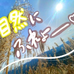 🏔登山！ハイキング！自然に触れよー💕