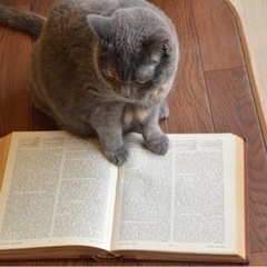 【神戸三宮周辺】読活・勉強会しませんか？📚