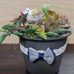 多肉植物寄せ植え 鉢に少しだけデコレーション②