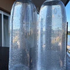 ゾウリムシ1リットルペットボトル2本セット‼️メダカ　グッピー　闘魚の画像
