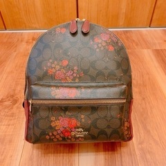 ★決まりました★【COACH】（廃盤人気カラー）ミディアム チャ...
