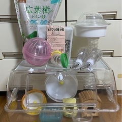 ハムスター　ルーミィ　飼育セット