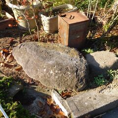 庭石譲ります　無料の画像