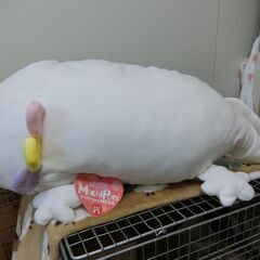 ウーパールーパーのぬいぐるみ