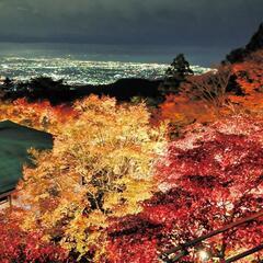 大山寺紅葉　（ライトアップも）
