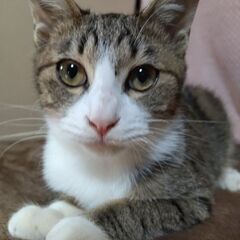 甘えん坊男の子里親さん決定です✨