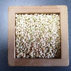 三年産　クレナイモチ玄米30kg